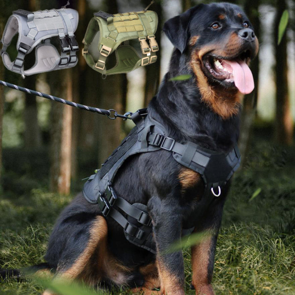 Tactical dog harness in black, gray, and olive green on a Rottweiler – a durable, no-pull solution trusted for forest hikes and outdoor training, letting your large breed pup enjoy adventures without strain or escape worries.