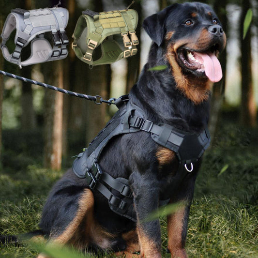 Tactical dog harness in black, gray, and olive green on a Rottweiler – a durable, no-pull solution trusted for forest hikes and outdoor training, letting your large breed pup enjoy adventures without strain or escape worries.