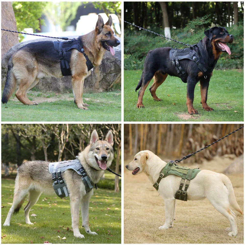 Tactical dog harness on German Shepherd, Rottweiler, Wolfdog, and Labrador – a durable, size-friendly solution to stop pulling, trusted by large breed owners for outdoor adventures, letting your pup enjoy walks and training without strain.