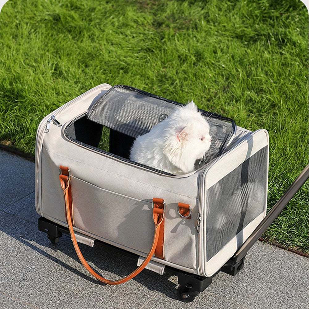 White cat in a rolling pet carrier with mesh windows for ventilation, on a sidewalk for outdoor travel, ensuring comfort and fresh air for small pets.