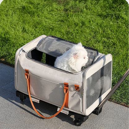 White cat in a rolling pet carrier with mesh windows for ventilation, on a sidewalk for outdoor travel, ensuring comfort and fresh air for small pets.