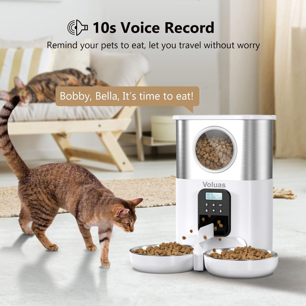 Voluas pet feeder with 10-second voice record feature, showing a cat responding to the meal reminder – a reassuring solution to ease concerns about pets missing meals while you travel, allowing you to record a message to call them to eat.