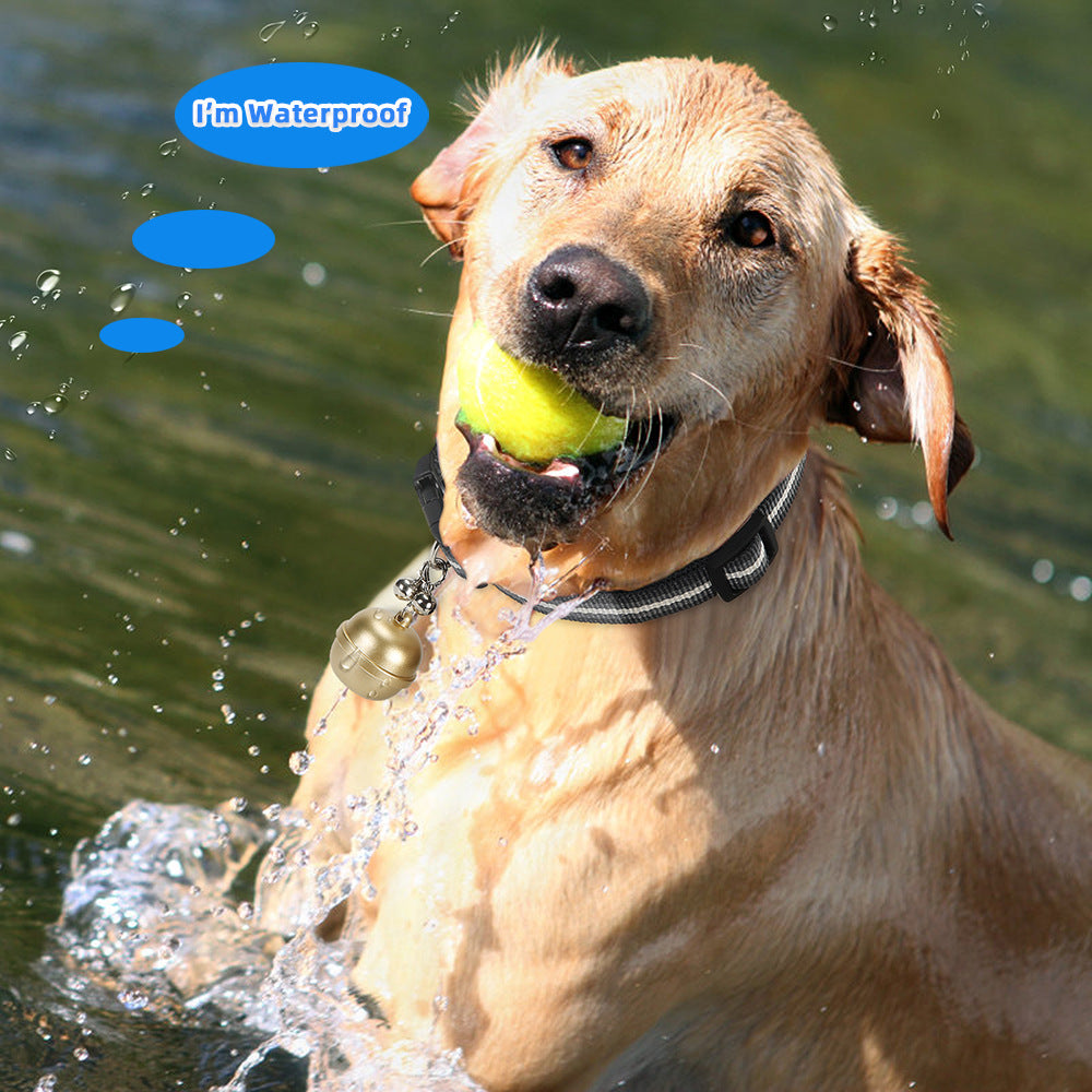 A Labrador retriever plays in water while wearing a waterproof dog GPS bell tracker, which solves the problem that pet trackers are easily damaged by water during outdoor activities.