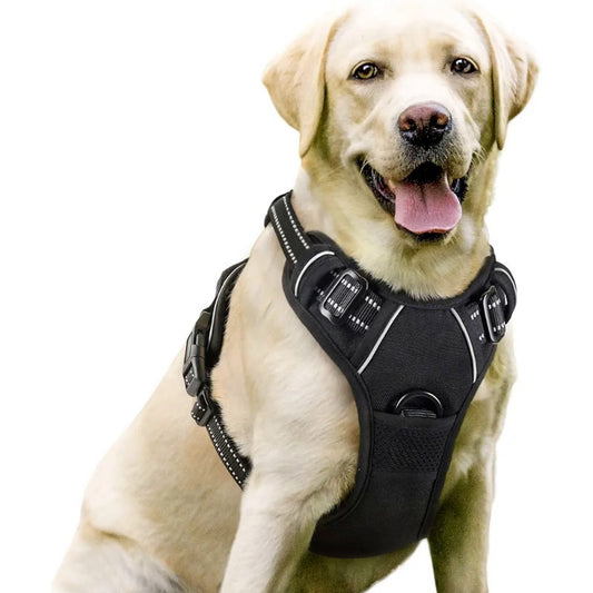 No - Pull Dog Harness with Breathable Mesh