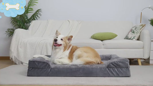 Orthopedic Pet Sofa Bed - Waterproof, Washable & Spine